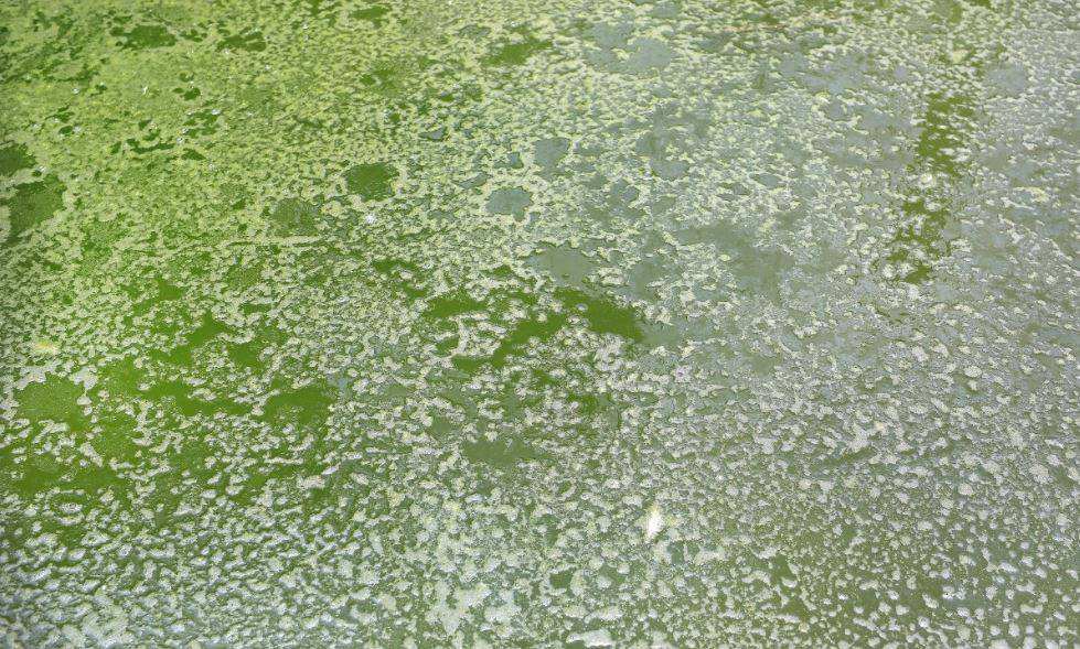 深圳水質(zhì)檢測(cè) 深圳水質(zhì)檢測(cè)