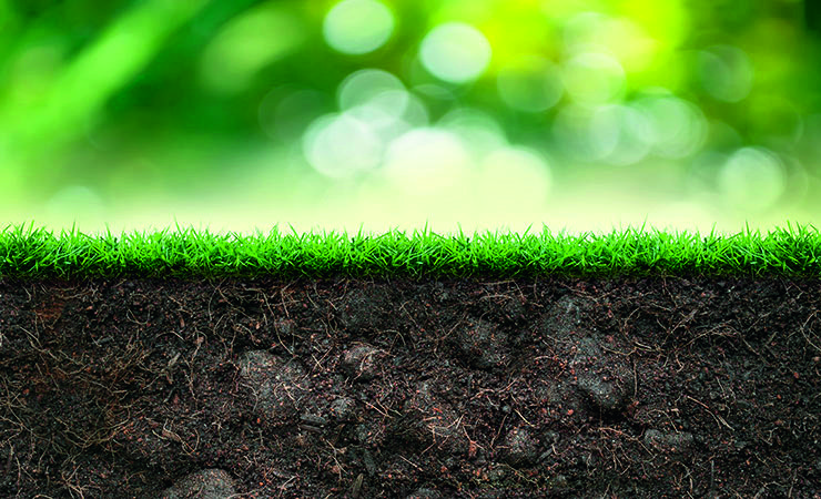 土壤重金屬檢測(cè) 土壤重金屬檢測(cè)