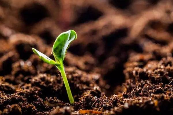 土壤檢測(cè) 土壤檢測(cè)