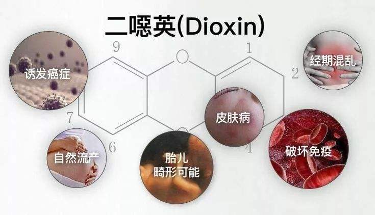 二惡英檢測(cè) 二惡英檢測(cè)