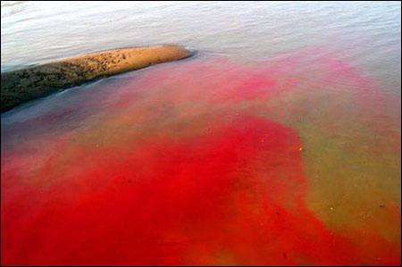 染料廢水檢測(cè) 染料廢水檢測(cè)