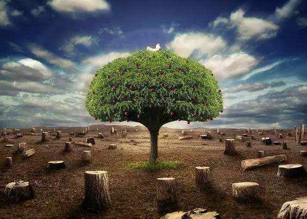 第三方環(huán)境檢測機(jī)構(gòu) 第三方環(huán)境檢測機(jī)構(gòu)