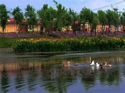 第三方水質(zhì)檢測機構(gòu) 第三方水質(zhì)檢測機構(gòu)