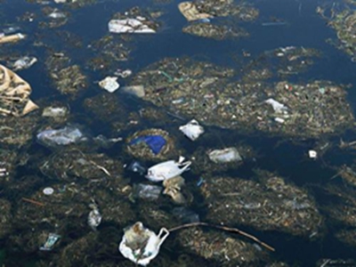 深圳第三方水質(zhì)檢測機(jī)構(gòu) 深圳第三方水質(zhì)檢測機(jī)構(gòu)